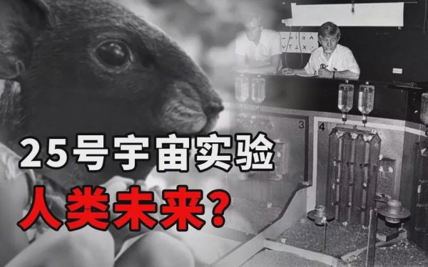 山西配资公司 生育率的真相，25号宇宙实验已经讲得清清楚楚